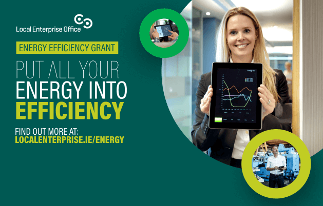 What is the Local Enterprise Office (LEO) Energy Efficiency Grant